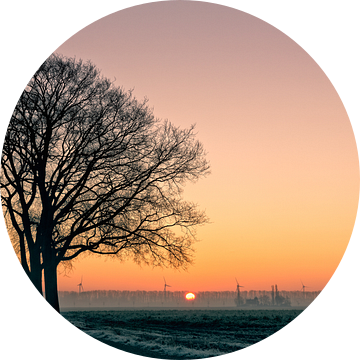 Hollands landschap in de winter van eric van der eijk