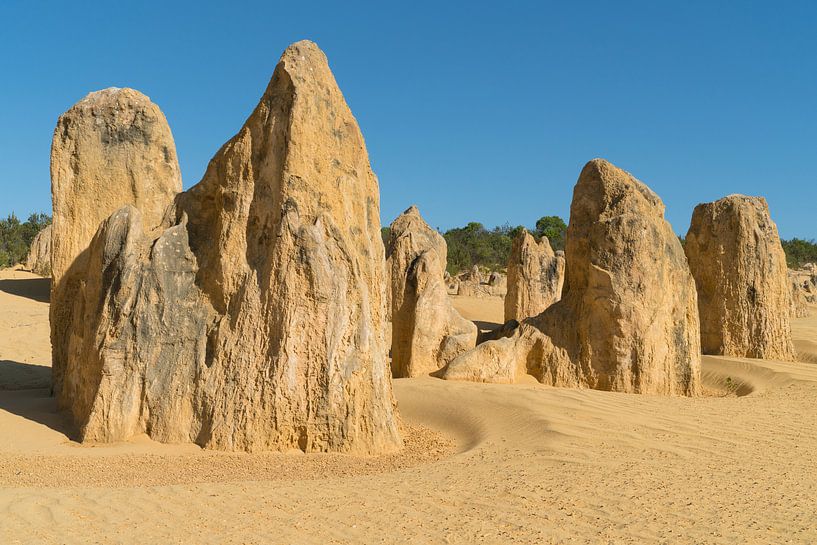 Nambung National Park, Western Australia by Alexander Ludwig