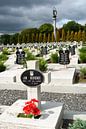 Likhakivsky Cemetery. by Richard Wareham thumbnail