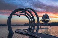 Slijk-Ewijkse plassen part 8 van Tania Perneel thumbnail