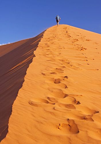 Die Düne hinauf - Namib, Namibia