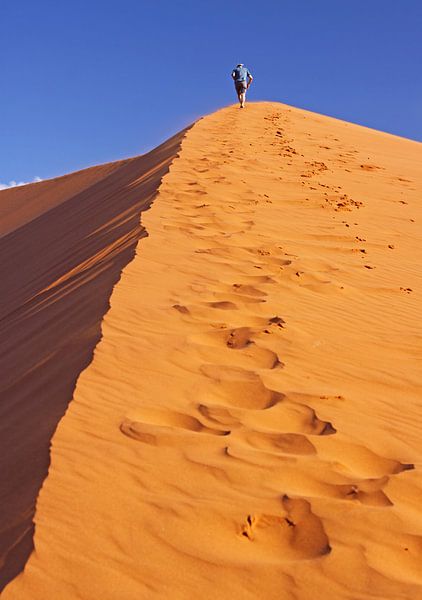 Die Düne hinauf - Namib, Namibia von W. Woyke
