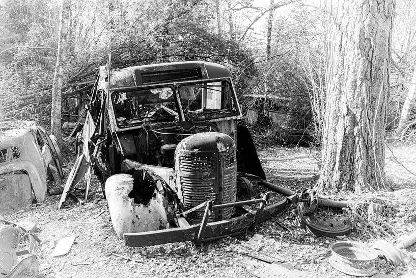 Vergane glorie van Joke Beers-Blom