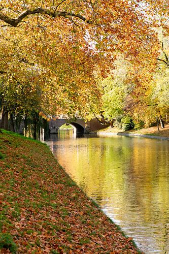 Abstederbrug in Utrecht in de herfst van 2025 (staand)
