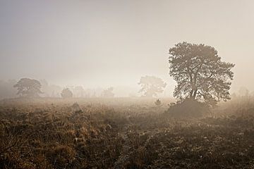 Nationaal park de Groote Peel van Rob Boon