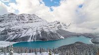 Peyto Lake, Banff National Park