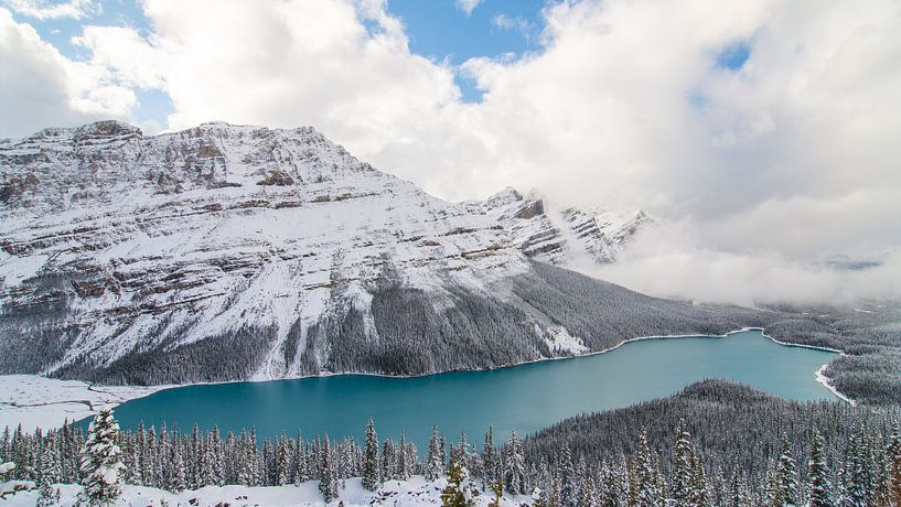 Peyto Lake, Banff National Park van Johan van Venrooy