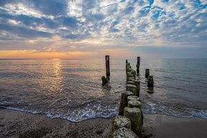 Buhnen im Sonnenuntergang an der Küste der Ostsee bei Graal Müritz