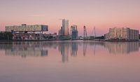 Skyline van Rotterdam met maastoren en hef van Ilya Korzelius thumbnail