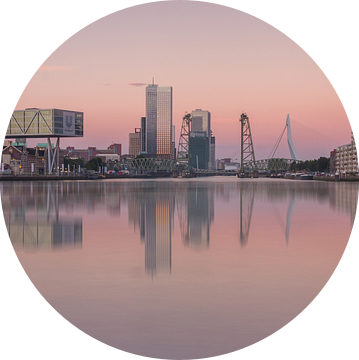 Skyline van Rotterdam met maastoren en hef van Ilya Korzelius