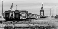 Trains shunted (black and white) sur Remco Bosshard Aperçu