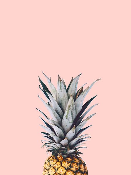 Pineapple 2 by Vitor Costa