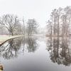 Der Vondelpark in Amsterdam im Nebel von Tristan Lavender