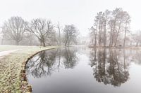 The Vondelpark in Amsterdam in the fog