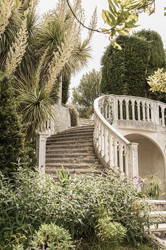 Escalier vintage dans le jardin botanique du sud de la France sur Henrike Schenk