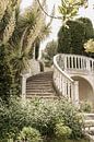 Vintage staircase in Botanical Garden in southern France by Henrike Schenk thumbnail
