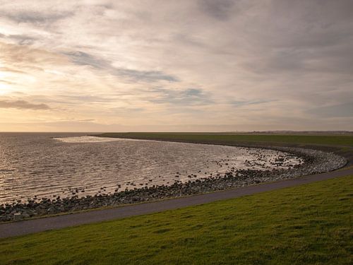 Waddendijk, Terschelling