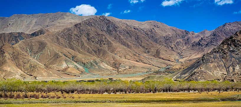 Panorama van het berglandschap in de omgeving van Gyantse, Tibet van Rietje Bulthuis