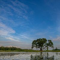 Nationalpark Weerribben Wieden