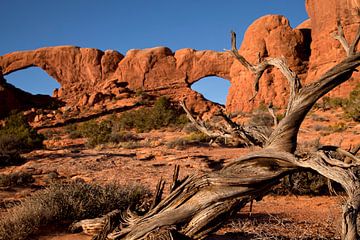 Arches National Park USA van Peter Schickert