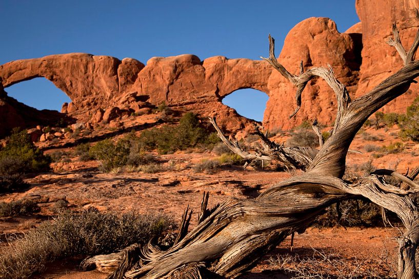 Arches National Park USA by Peter Schickert