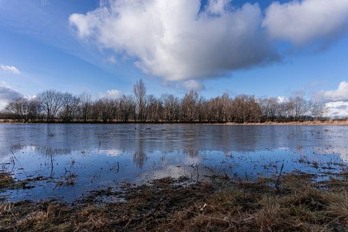 Reflexion in der Nähe des Mantingervelds von Lea Wever