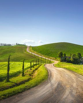 Route van de via Francigena. Kronkelige weg in Toscane van Stefano Orazzini