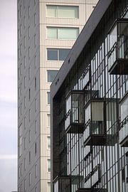 Neptune by Caithlin Schoremans