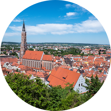 Skyline van Landshut in Neder-Beieren van Animaflora PicsStock