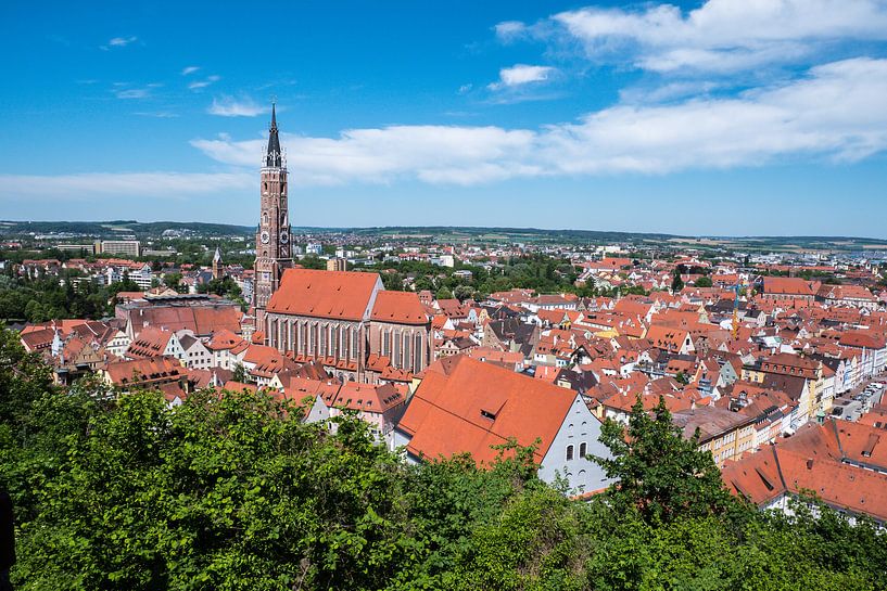 Skyline van Landshut in Neder-Beieren van Animaflora PicsStock