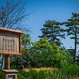 De Kutchen Haltestelle: Waar Natuur en Geschiedenis Samenkomen in het Nationaal Park Eifel. van Berend Kok