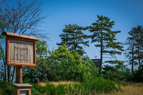 De Kutchen Haltestelle: Waar Natuur en Geschiedenis Samenkomen in het Nationaal Park Eifel.
