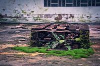 Nature takes it all back