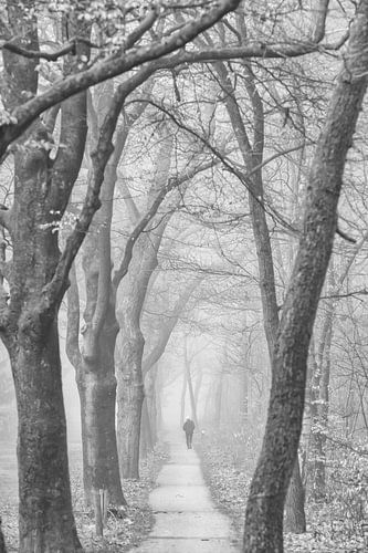 Hardloper in het bos