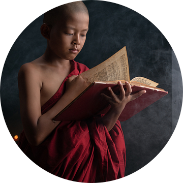 Een jonge monnik van Anges van der Logt