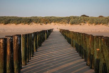 Schaduwspel in de Duinen Houten Golfbrekers bij Zonsondergang Vlissingen van Femke Ketelaar