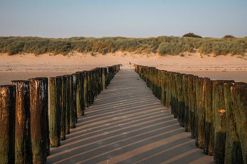 Schaduwspel in de Duinen Houten Golfbrekers bij Zonsondergang Vlissingen