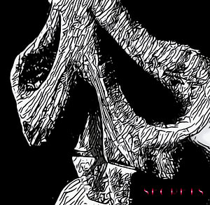 Secrets, Motiv 3
