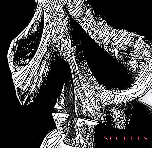 Secrets, motif 3 by zam art