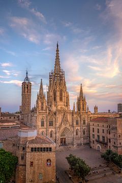 Kathedraal van Barcelona van Iman Azizi