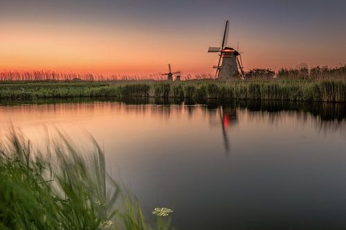 Berührt vom letzten Sonnenstrahl.