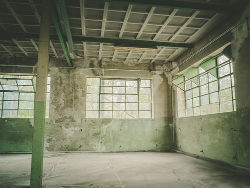 Green room with windows