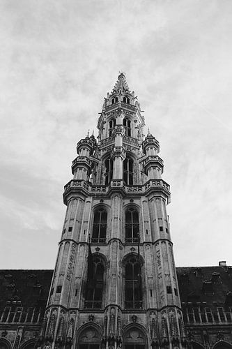 Townhall of Brussel