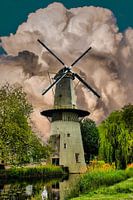 Mill, Schiedam, The Netherlands