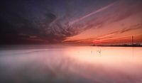 The silence of the Wadden Sea