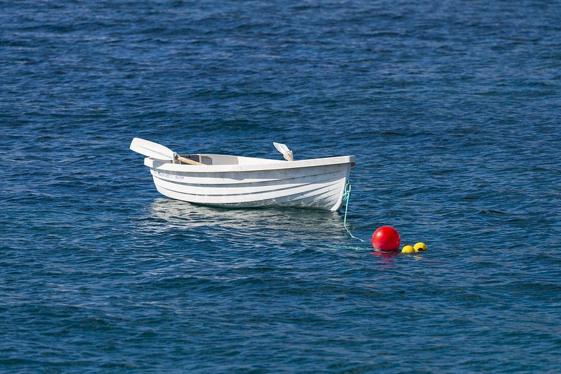 Roeiboot bij Arrieta van Walter G. Allgöwer