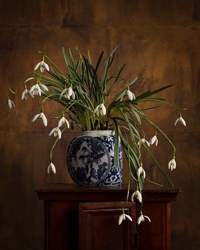 Sneeuwklokjes stilleven