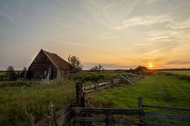 texel by Willem De graaf