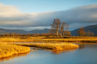 Verstild rustgevend landschap in Noorwegen van Karla Leeftink thumbnail