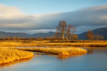 Verstild rustgevend landschap in Noorwegen